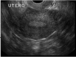 Percorso diagnostico ANAMNESI ES.