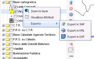 Fig: 28. Come si vede dalla figura 28 il sistema permette l export completo del layer in formato shape, KML per google earth e l export in DXF.