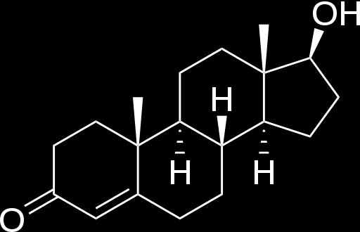 Lipidi Il Testosterone È il principale ormone sessuale maschile, è deputato allo sviluppo degli organi sessuali e dei caratteri secondari, nell età puberale influisce anche sullo sviluppo dello