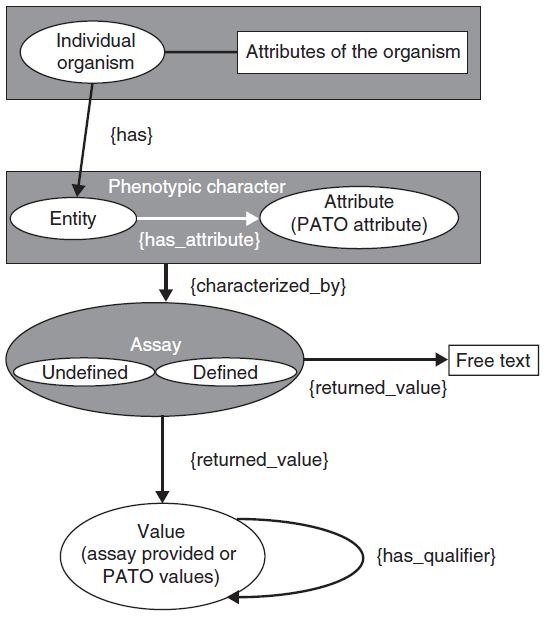 2.3 ontologie 45 A partire da un asserzione che descrive un particolare fenotipo si ha quindi lo schema (riadattato da [19]): Ontologie di contesto Ontologia delle qualità fenotipiche (quality)