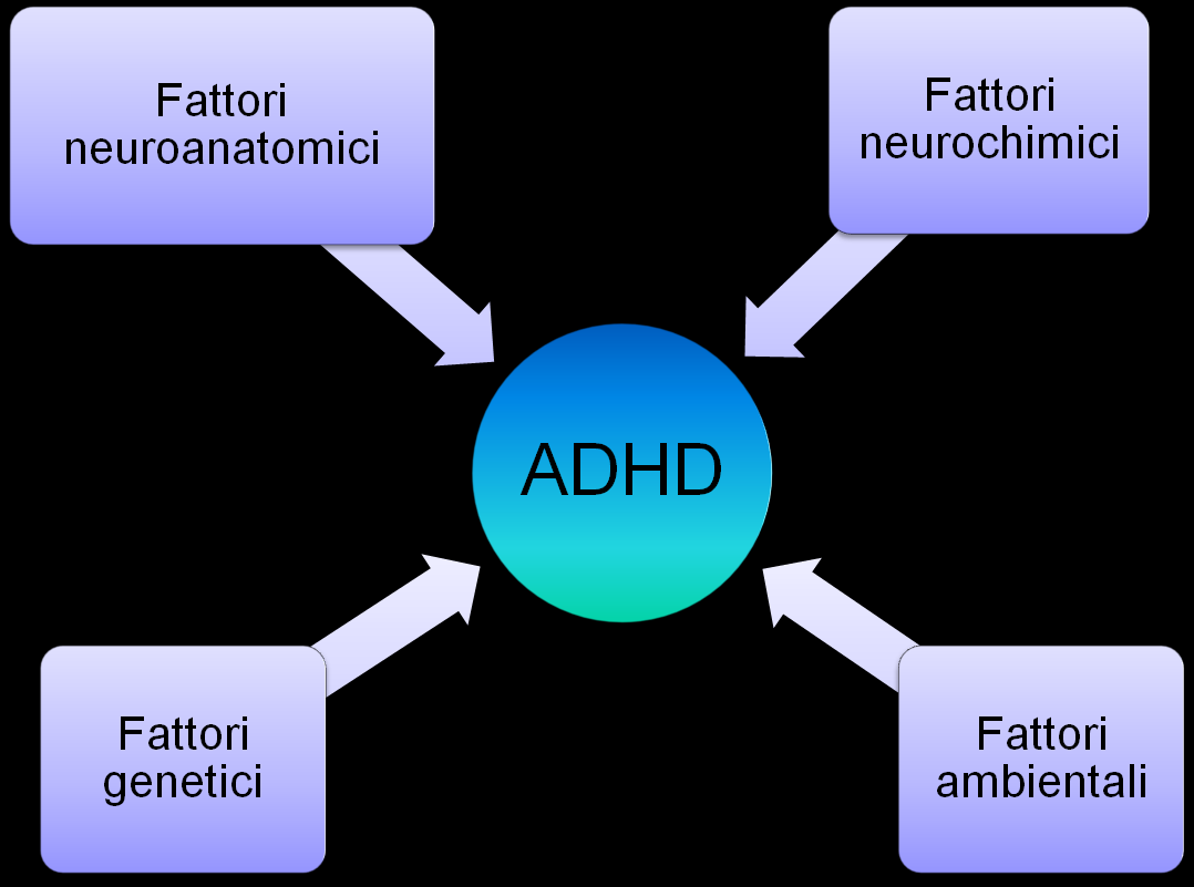 Eziologia (modello integrato) L ADHD è un disturbo ad eziologia