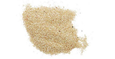 AMARANTO Non facendo parte delle Graminacee non è un cereale, come non lo sono grano saraceno,quinoa, sago e manioca.