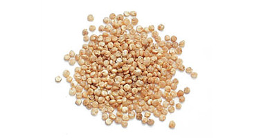 QUINOA La quinoa contiene tutti i 9 aminoacidi essenziali necessari al funzionamento del nostro organismo istidina, isoleucina, leucina, lisina, metionina, fenilalanina e triptofano), presentando nel