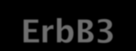 Mutated or truncated ECD (p95) Increased ErbB1