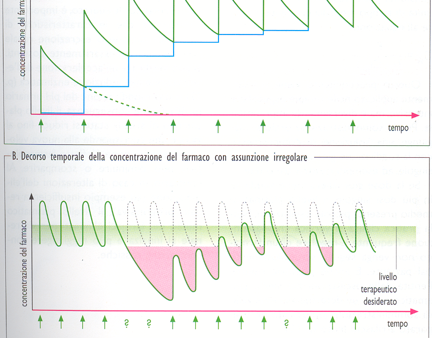 cmax Infusioni intermittenti o ripetute in un certo intervallo (es: ogni 8 ore mediante infusione della durata di 1 ore) Digitossina : lungo periodo di somministrazioni prima di raggiungere i