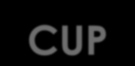 Codice Unico di Progetto CUP (art. IV.