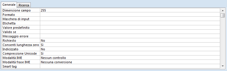 Opzioni campo testo Per ogni campo possiamo impostare le opzioni Per il campo testo