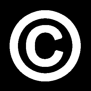 Tutela del Diritto d Autore Il diritto d'autore ha ad oggetto le opere dell'ingegno di carattere creativo.