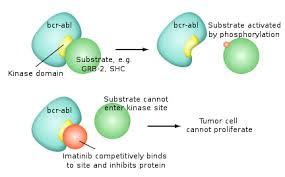 Primo TKI = Imatinib Nature Medicina