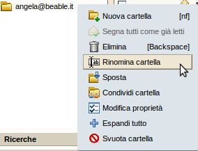 Rinominare una cartella Per rinominare una cartella definita dall'utente: cliccate con il tasto destro sulla cartella e scegliete Rinomina cartella.