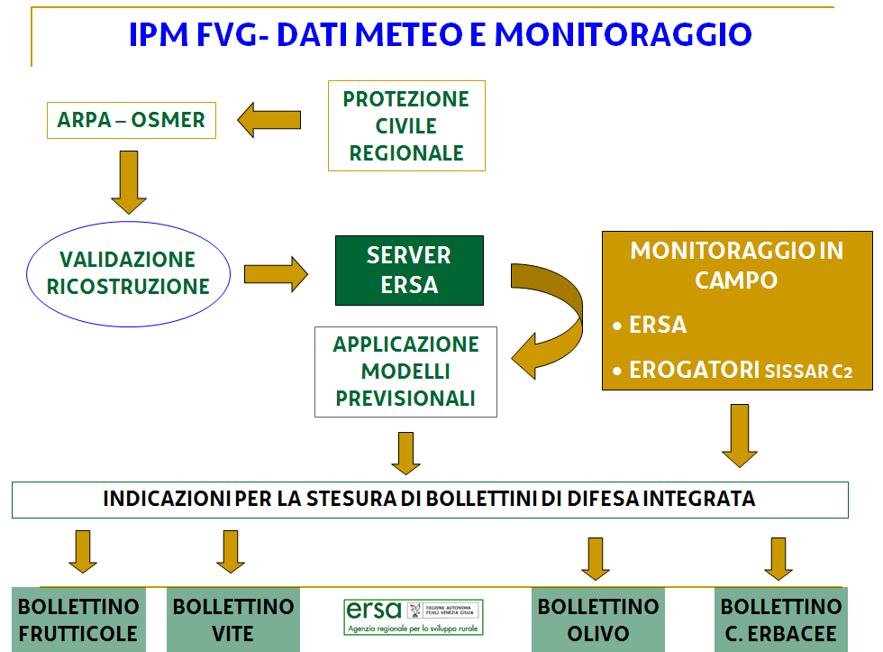 I dati raccolti con il monitoraggio (fenologia, presenza di infezioni fungine, parassiti, ecc.