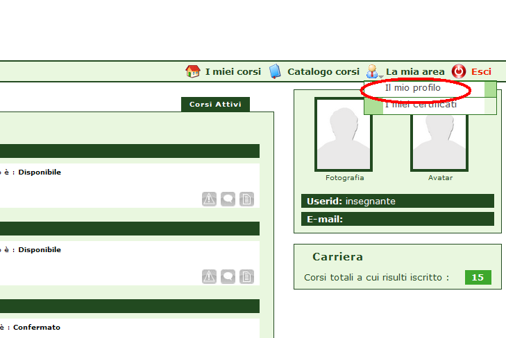 direttamente sotto l immagine del docente) e attendere qualche minuto, per permettere al sistema di caricare le parti restanti.