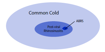 Rhinology