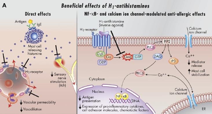 Antistaminici (J Allergy