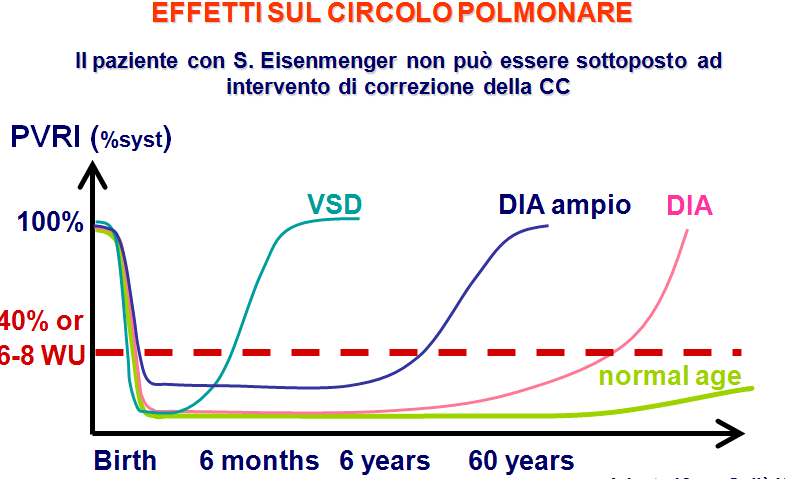 polmonari, tale da indurre fenomeni di rimodellamento vascolare arteriolare polmonar (iperplasia dell intima, ipertrofia della media, fibrosi avventiziale).