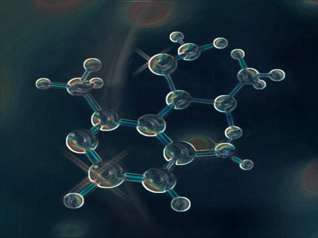 INTRO Ogni cellula vivente racchiude una pluralità di molecole diverse L acqua è l elemento dominante, nelle cellule vegetali e nei funghi, per i loro spazi per i liquidi cellulari sono