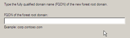 Creiamo un nuovo dominio in una nuova foresta. Quindi creare il nuovo FQDN (Fully Qualified Domain Name). Noi inseriamo: Server.scdg.