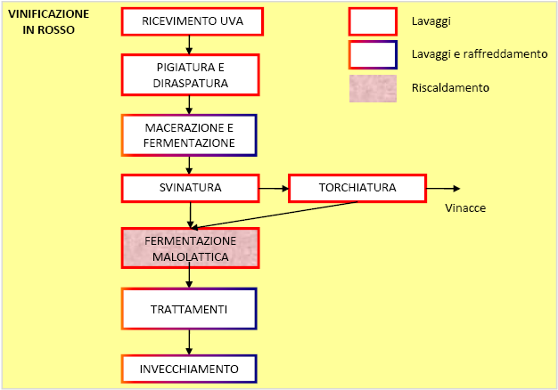 Figura 2 - Schema del processo di vinificazione in rosso