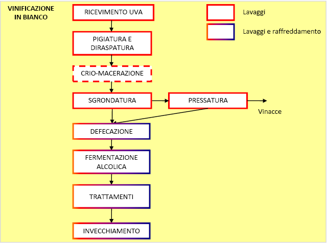 Figura 3 - Schema del processo di vinificazione in