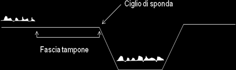 Pertanto il presente standard stabilisce i seguenti impegni: a) Divieto di fertilizzazioni E vietato applicare fertilizzanti inorganici entro cinque metri dai corsi d acqua.