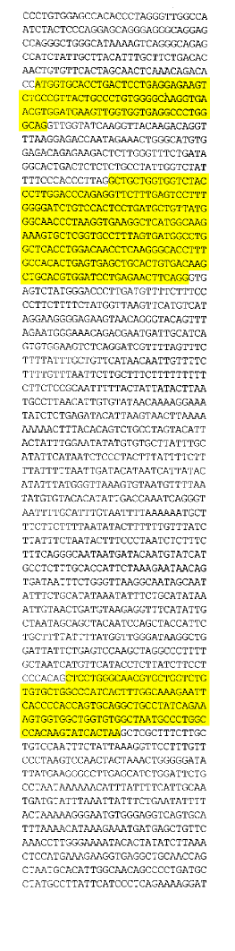 Sequenza nucleotidica del gene della globina beta dell uomo.