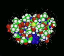 Progettazione di nuovi farmaci Reti neurali di apprendimento Genomica