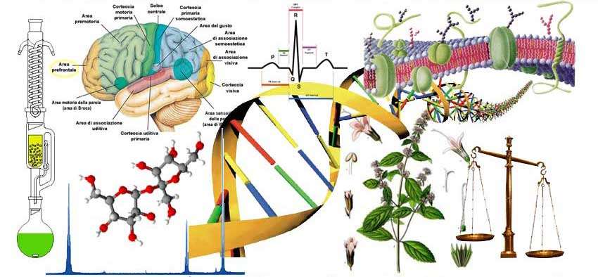 operano nell ambito del farmaco Scienze e del dei Farmaco prodotti e per dei Prodotti la salute per per la contribuire Salute allo sviluppo economico ed occupazionale in un per