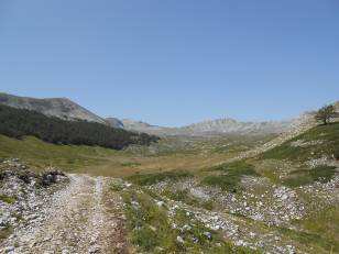 In cima al bosco la strada scende leggermente, uscendo allo scoperto nella Valle del Puzzillo, una valle completamente