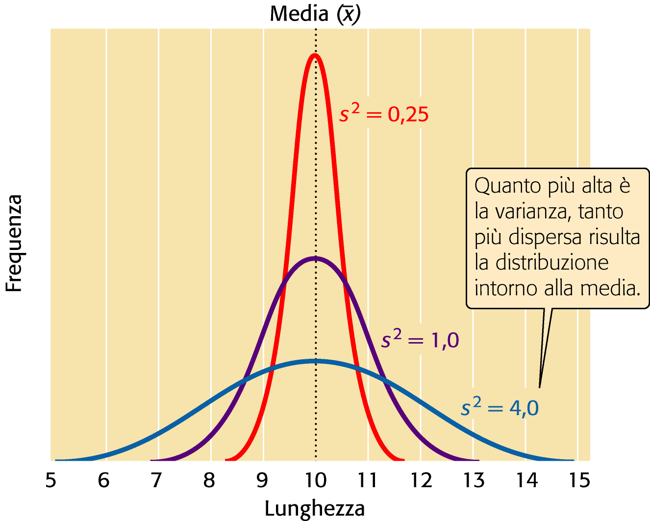 La varianza (s 2 ) La varianza è definita come la deviazione quadratica media dalla media. Essa indica il grado di variabilità di un gruppo di fenotipi (misurazioni).