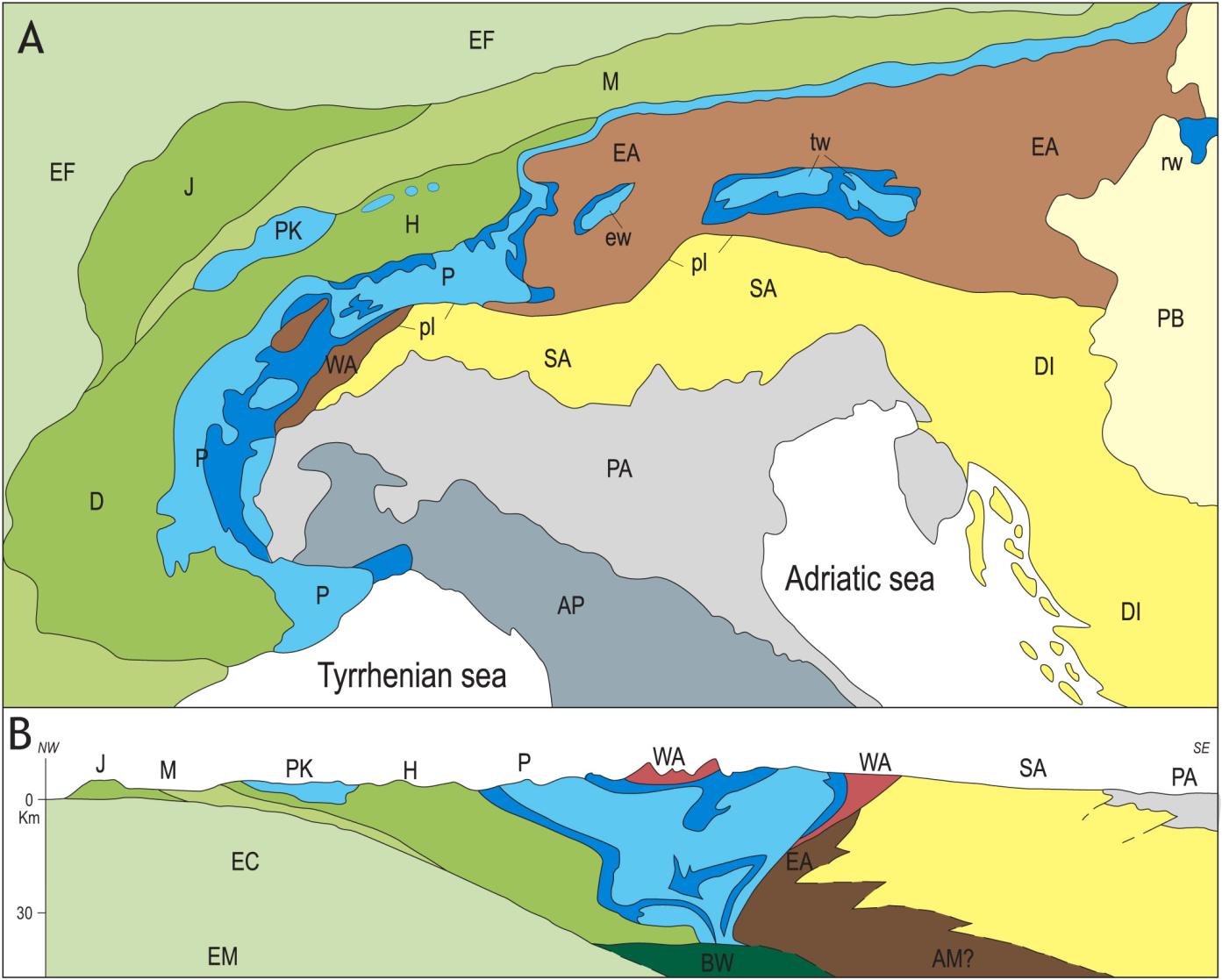Evoluzione delle Alpi: Inquadramento geologico dell Italia - dai conglomerati di Gosau del Cretaceo sup.