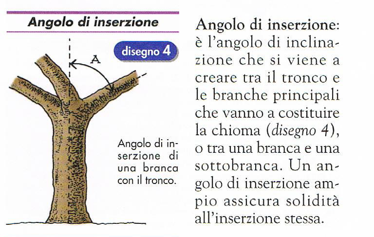 Impossibile visualizzare l'immagine collegata. È possibile che il file sia stato spostato, rinominato o eliminato.