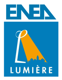 Giornata n 01/2014 Network, efficienza e managerialità nella gestione dell illuminazione pubblica Illuminazione pubblica: Piani della Luce, Energia e Sostenibilità per una gestione intelligente della