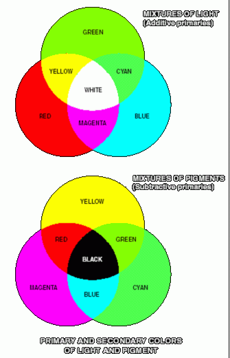 33% sensibile alla luce verde 2% sensibile alla luce blu infatti i colori vengono visti come combinazioni variabili dei colori primari RGB.