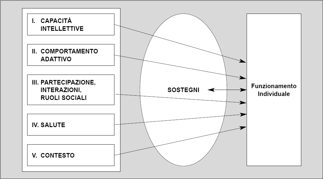 DIMENSIONI MODELLO AAMR 10/11 AAIDD Modello dei Sostegni FUNZIONAMENTO INDIVIDUALE FUNZIONAMENTO INDIVIDUALE PROGRAMMAZIONE SOSTEGNI DOMINI QdV