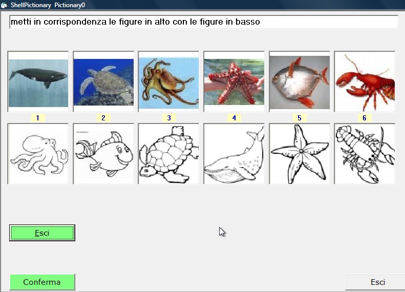 Progetto Software to Fit - ShellPictionary Pagina 4 Gli esercizi di testo-testo presentano due serie di caselle di testo, una a sinistra e una a destra, che sono in associazione fra di loro ma