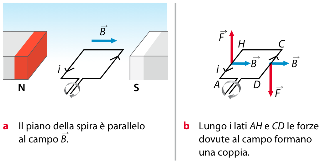 Lezione 3 - Forze su conduttori percorsi da correnti Spira rettangolare percorsa da corrente libera di ruotare in un campo magnetico uniforme L asse di rotazione