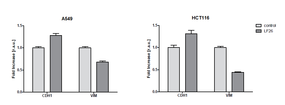 Figura 5.3 Analisi di espressione genica dei livelli di CDH1 e VIM, nelle linee cellulari A549 e HCT116 trattate per 48 ore con 5μM di LF26.