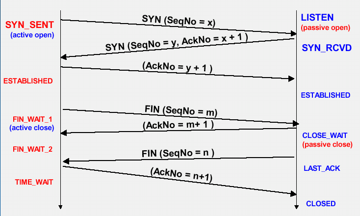 il ciclo di vita di una