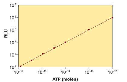 Principio di valutazione dell ATP ATP + E + LH 2 E-LH 2 -AMP + PP E-LH 2 -AMP + O 2 OSSILUCIFERINA + AMP + CO 2 + LUCE E-LH2-AMP =