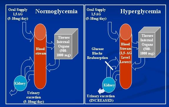 1,5-anidroglucitolo e glicemia post prandiale 1,5-anidroglucitolo (1,5-AG) è un marker validato di controllo