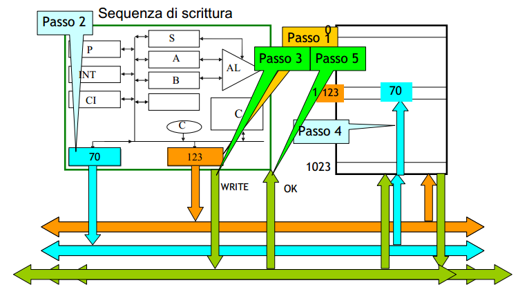 Per eseguire un operazione di lettura il processore fornisce sul bus indirizzi (arancio) l'indirizzo della locazione desiderata (PASSO1) e sul bus di controllo (verde) un segnale per abilitare la Ram