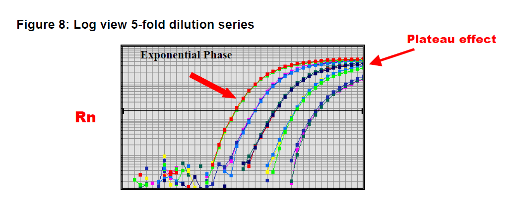 Effetto plateau in una