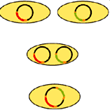 For cotransformation various arrangements of marker gene (red) and the gene of interest (target gene, green) are possible on the vector: - two different strains of Agrobacteria, each with a