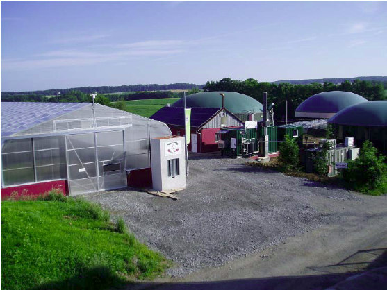Shining Example Azienda Agricola Thomas Karle Kupferzell - Germania Impianto di produzione di biogas da scarti agricoli La ragione che ha spinto Thomas Karle a produrre biogas è stata quella di
