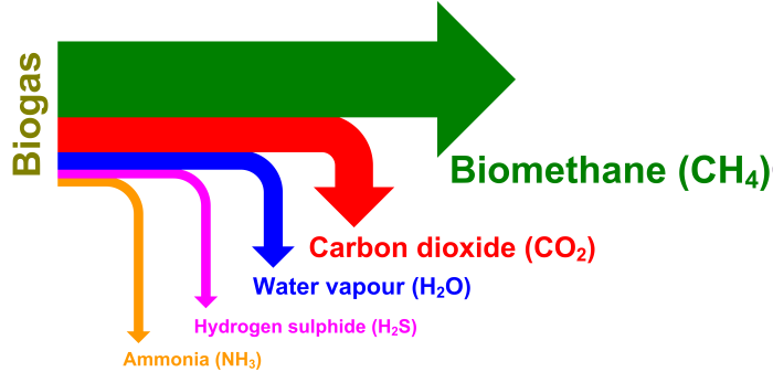 Capitolo 4 Potenziali utilizzi del biogas prodotto 4.