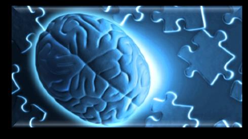 Effetto della CANNABIS sul processo di memorizzazione I sensi inviano un segnale proveniente dal mondo esterno I neuroni si scambiano i segnali attraverso il meccanismo elettrochimico Interpretazione