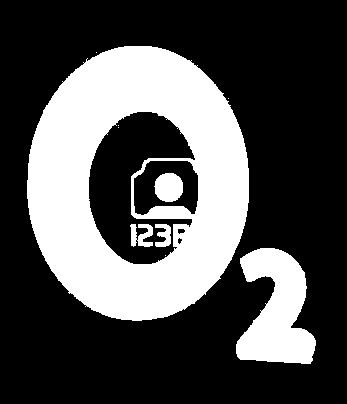 O 2 :