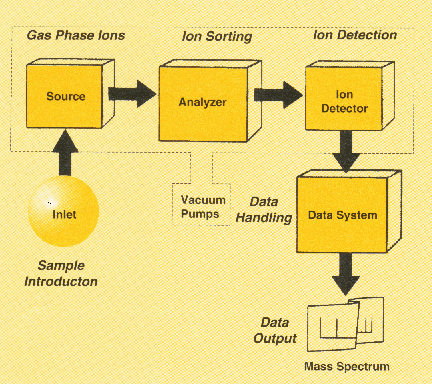 Mass Spectrometer All Instruments Have: 1. Sample Inlet 2.