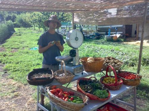 PER RIASSUMERE: LA FILIERA CORTA è espressione del rapporto tra cambiamento globale, disponibilità di risorse naturali e produzione agricola e delle interazioni tra città/luogo di consumo