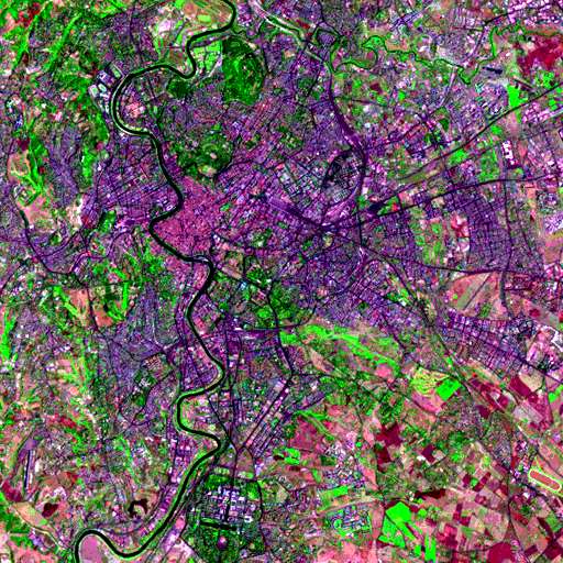 L alto numero di specie è in relazione: 1 Perchè così tante specie? La posizione geografica, il mosaico ambientale 1.